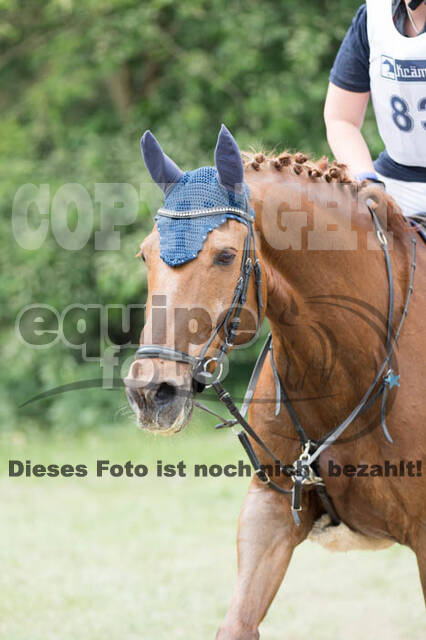 Vielseitigkeitsturnier ZRFV von Lützow Hamminkeln