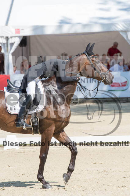 FEI European Championship Eventing 2017