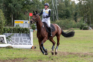 Vielseitigkeit RSV Wesel Obrighoven (26.+27.09.2020)