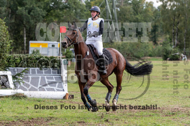 Vielseitigkeit RSV Wesel Obrighoven (26.+27.09.2020)