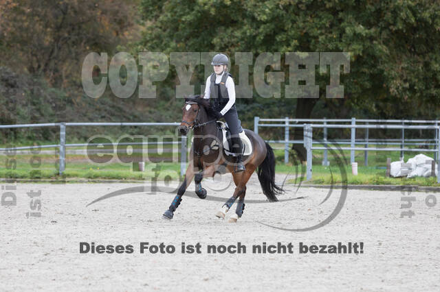 IGV Lehrgang der Sieger der Cups mit Frank Ostholt