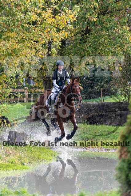 Goldene Schärpe 2020 - Pferde