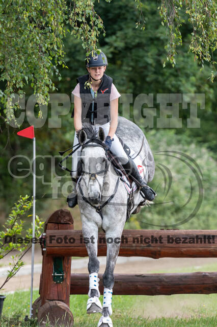 Late-Entry-Vielseitigkeit Langenfeld (11.+13./14.06.2020)
