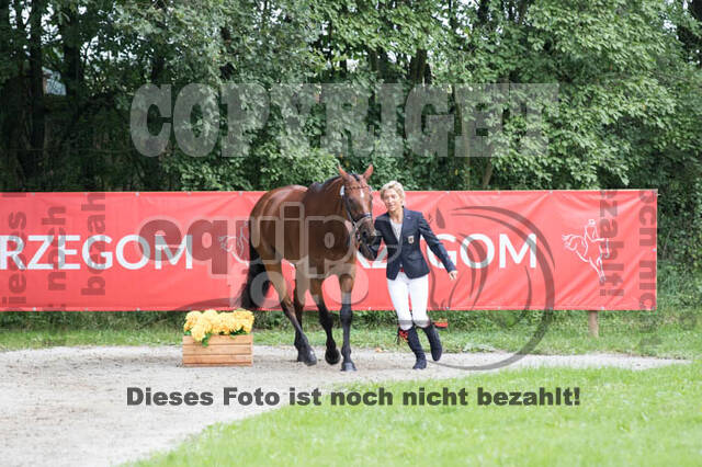 FEI European Championship Eventing 2017