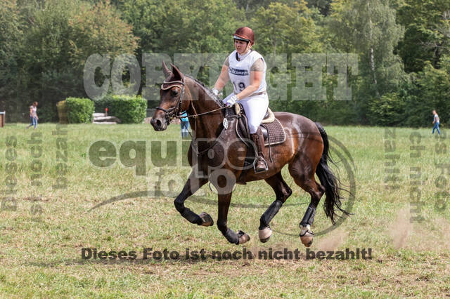 Late-Entry-Vielseitigkeit Gahlen (18.07.2020)