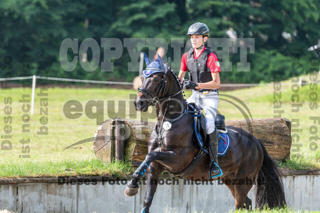 Goldene Schärpe 2021 - Ponys