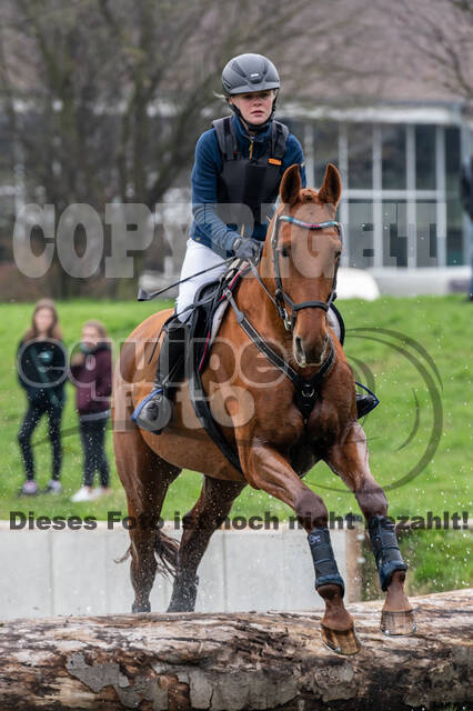 Goldene Schärpe 2020 - Pferde