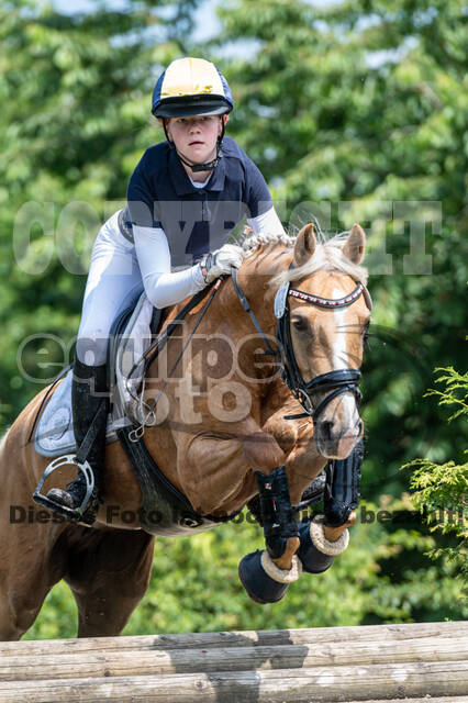 Goldene Schärpe 2021 - Ponys