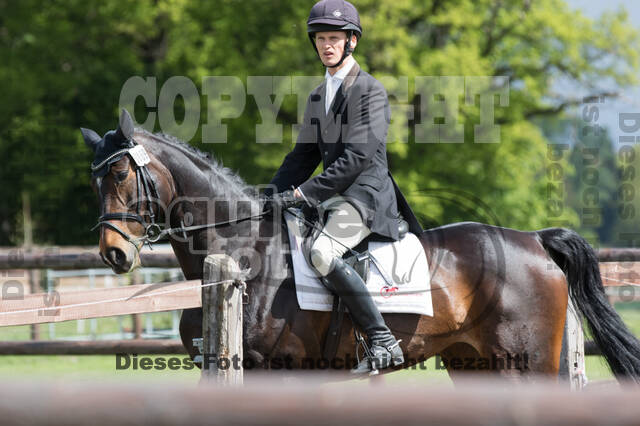 Sterne über Münster 2019 - CCI***S