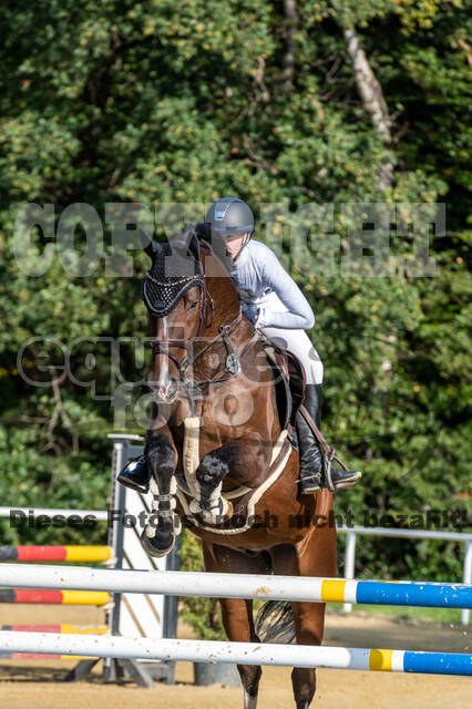 RFV Dinslaken-Hiesfeld (Herbstturnier)