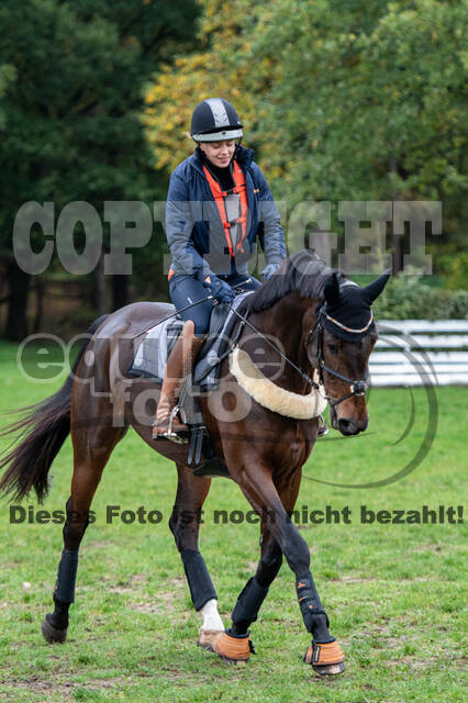 Training Bettina Hoy (01.11.2020)