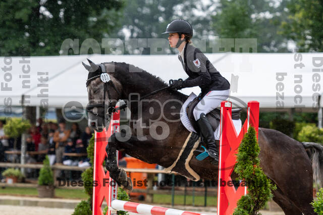 Goldene Schärpe 2021 - Ponys