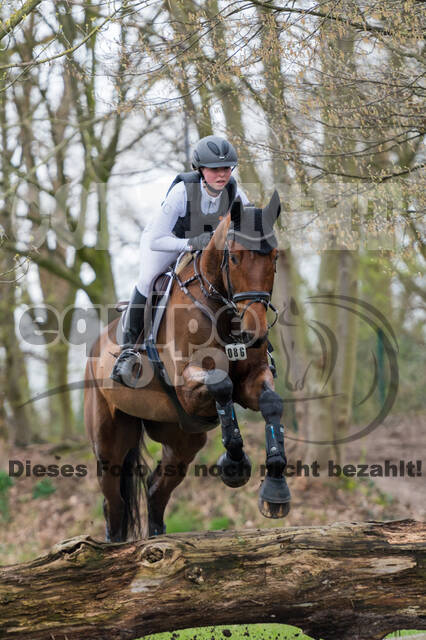 Eventing im Pferdesportzentrum Rheinland (Late Entry 14.03.2022)