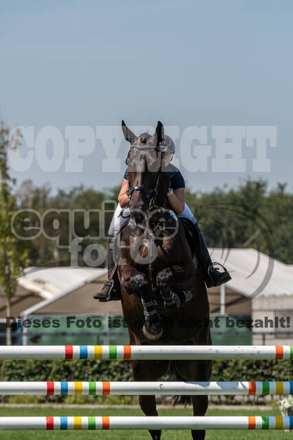 Kronenberg - De Peelbergen (August 2020)