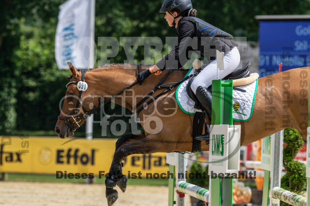 Goldene Schärpe 2021 - Ponys