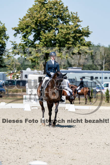 Kronenberg - De Peelbergen (August 2020)