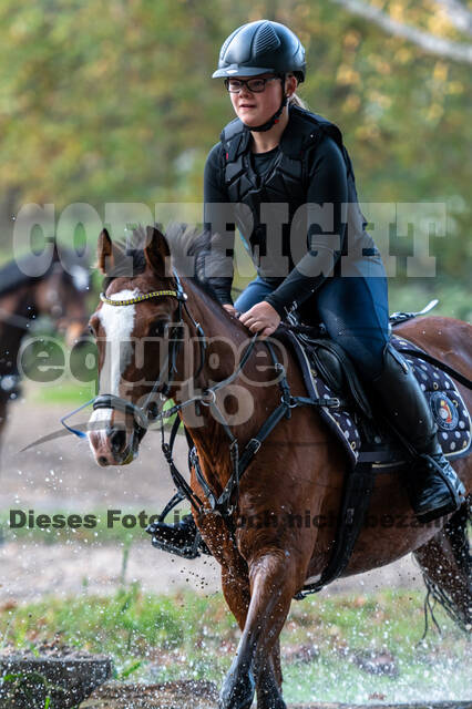 IGV Lehrgang der Sieger der Cups mit Frank Ostholt