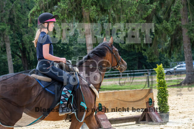 Hunter Geländetraining 10.07.2021 (Sonsbeck)