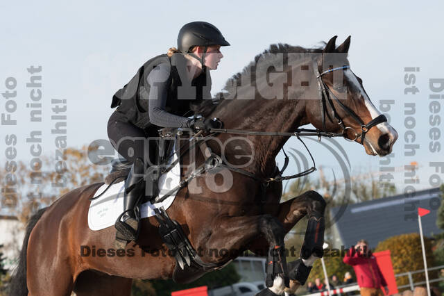 IGV Lehrgang der Sieger der Cups mit Frank Ostholt