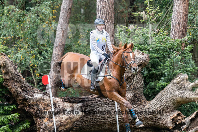 Vielseitigkeit RSV Wesel Obrighoven (26.+27.09.2020)