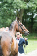 FEI European Championship Eventing 2017