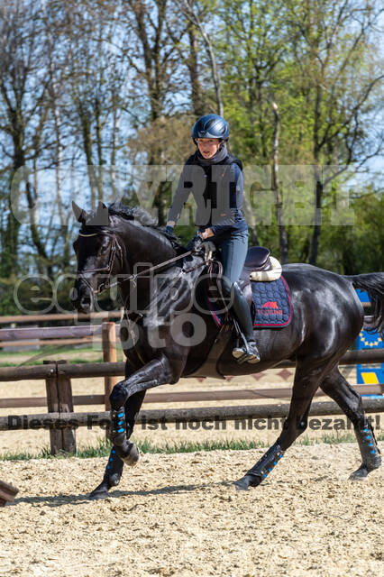 Geländetraining ZRFV Hamminkeln (24+25.04.2021)