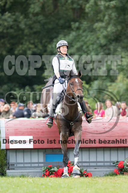 FEI European Championship Eventing 2017