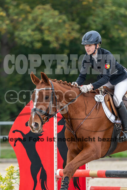 Goldene Schärpe 2020 - Pferde