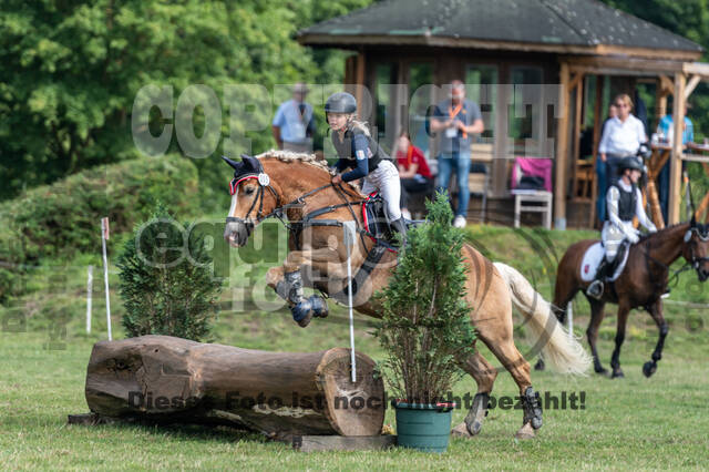 Goldene Schärpe 2021 - Ponys