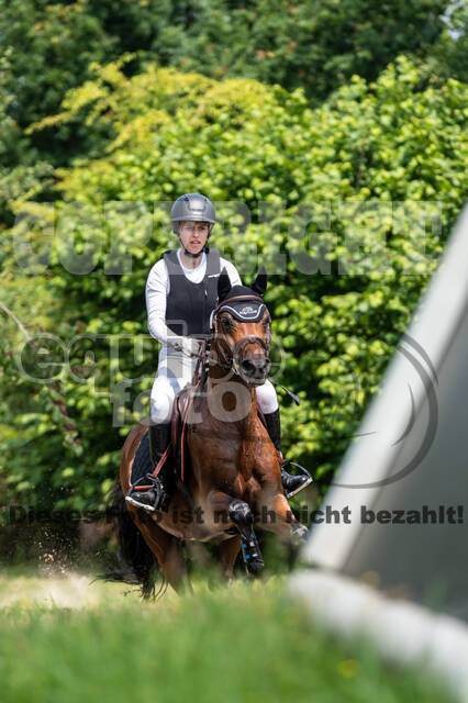 Goldene Schärpe 2021 - Ponys