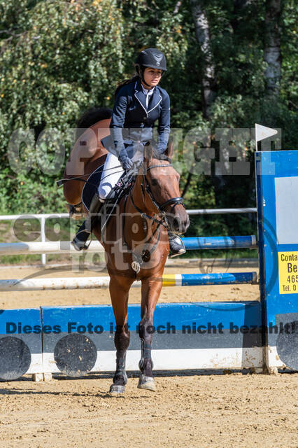 RFV Dinslaken-Hiesfeld (Herbstturnier)