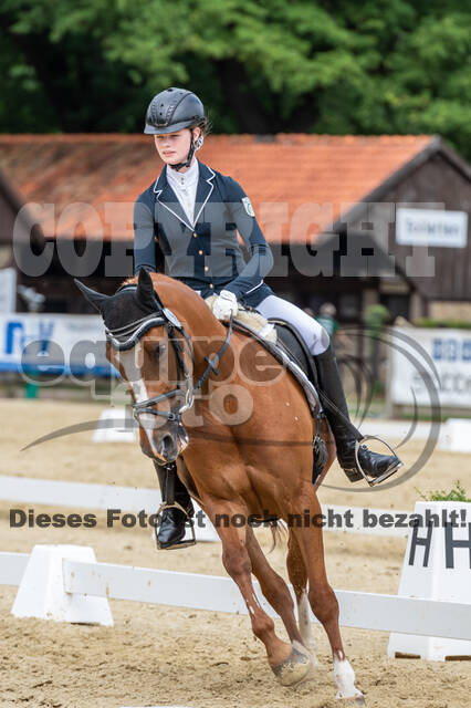 Goldene Schärpe 2021 - Ponys