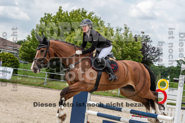 Late-Entry-Vielseitigkeit Langenfeld (06.+07.07.2020)