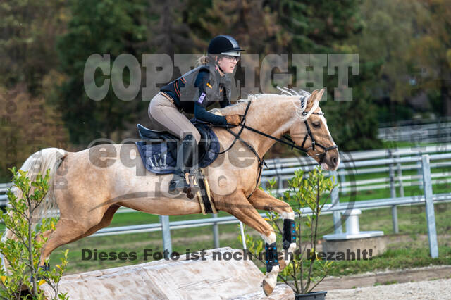 IGV Lehrgang der Sieger der Cups mit Frank Ostholt