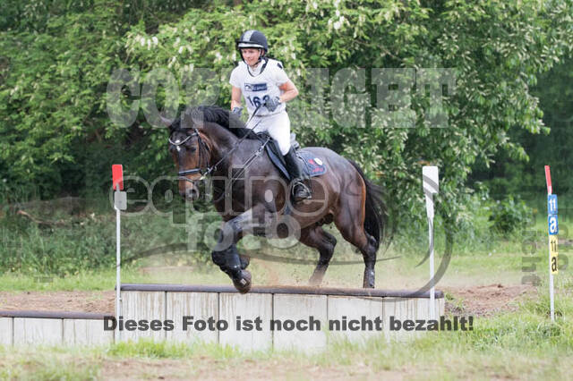 Vielseitigkeitsturnier ZRFV von Lützow Hamminkeln
