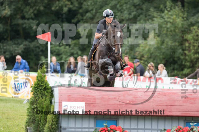 FEI European Championship