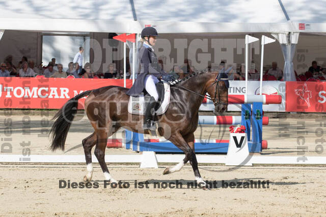 FEI European Championship Eventing 2017