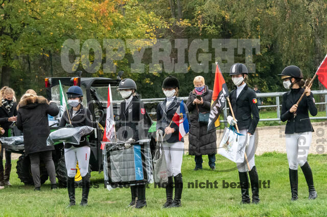 Goldene Schärpe 2020 - Pferde