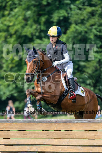 Goldene Schärpe 2021 - Ponys