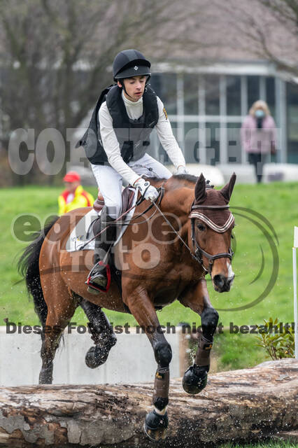 Goldene Schärpe 2020 - Pferde