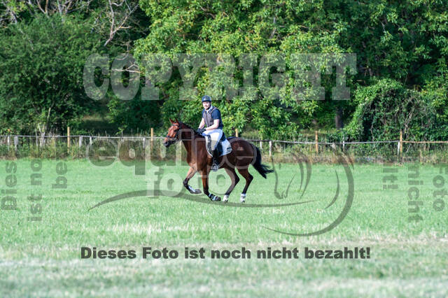 Bonn-Rodderberg Late-Entry-Vielseitigkeit (30.06.2020)
