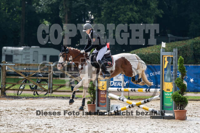 Goldene Schärpe 2021 - Ponys