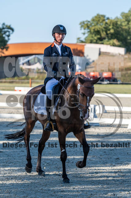 Kronenberg - De Peelbergen (August 2020)