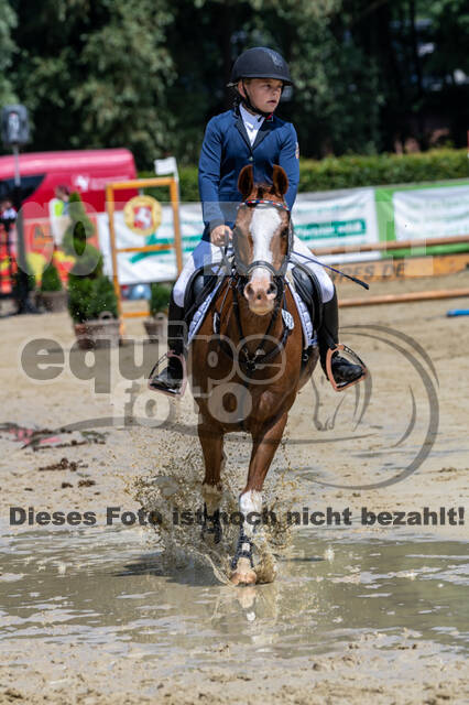 Goldene Schärpe 2021 - Ponys