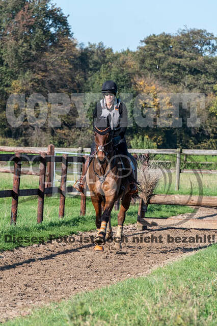 Vielseitigkeitslehrgang mit Jürg Kurbel (9.+10.11.2019)