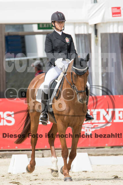 FEI European Championship Eventing 2017