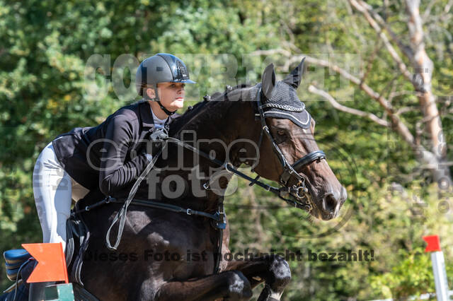 RFV Dinslaken-Hiesfeld (Herbstturnier)