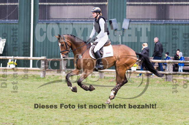 Jungpferdetag Hamminkeln