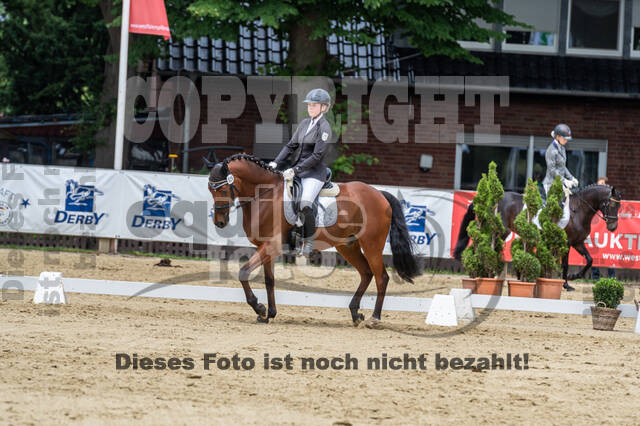 Goldene Schärpe 2021 - Ponys