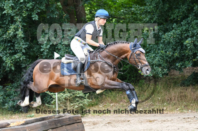Late-Entry-Vielseitigkeit Langenfeld (11.+13./14.06.2020)